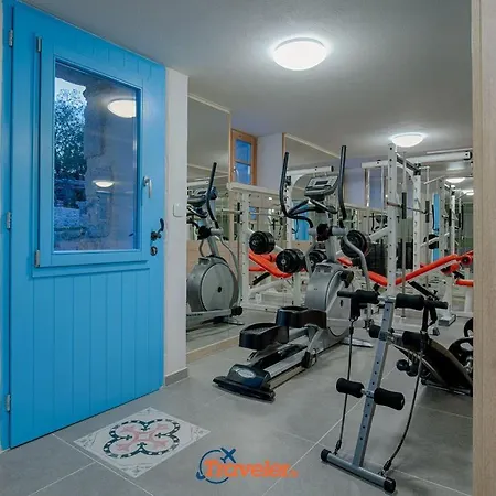 Beautiful Stone With Swimming Pool, Sauna And Large Garden By Traveler Tourist Agency Krk Id 2225 Vila Gabonjin