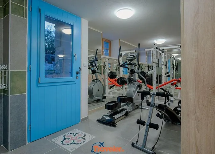 Beautiful Stone With Swimming Pool, Sauna And Large Garden By Traveler Tourist Agency Krk Id 2225 Villa Gabonjin